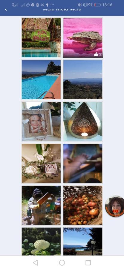 Agrifarm La Corte Konuk evi Villa Bensi Dış mekan fotoğraf