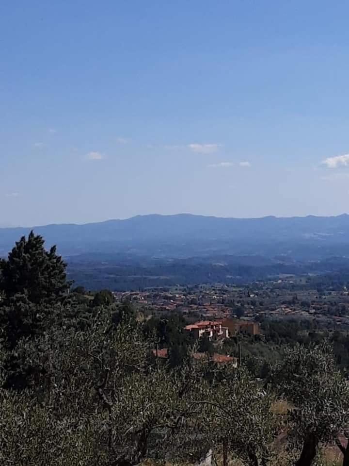 Agrifarm La Corte Konuk evi Villa Bensi Dış mekan fotoğraf